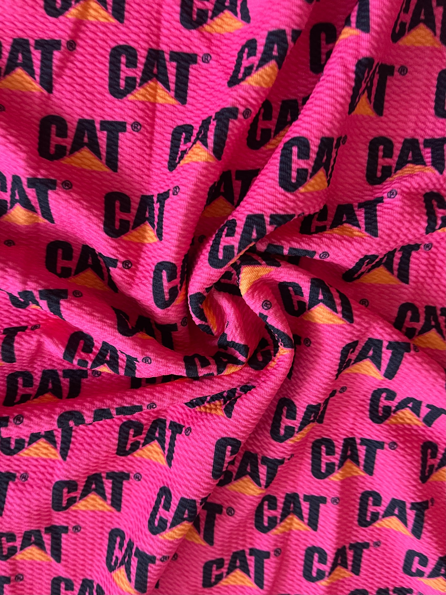 Hot pink cat