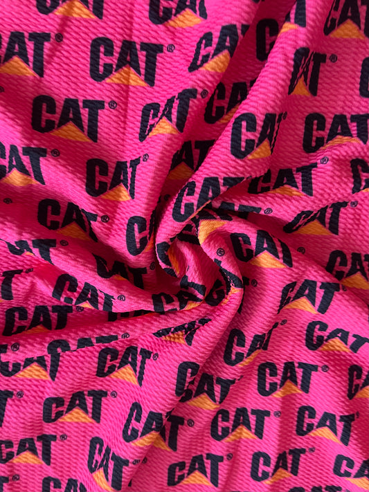Hot pink cat