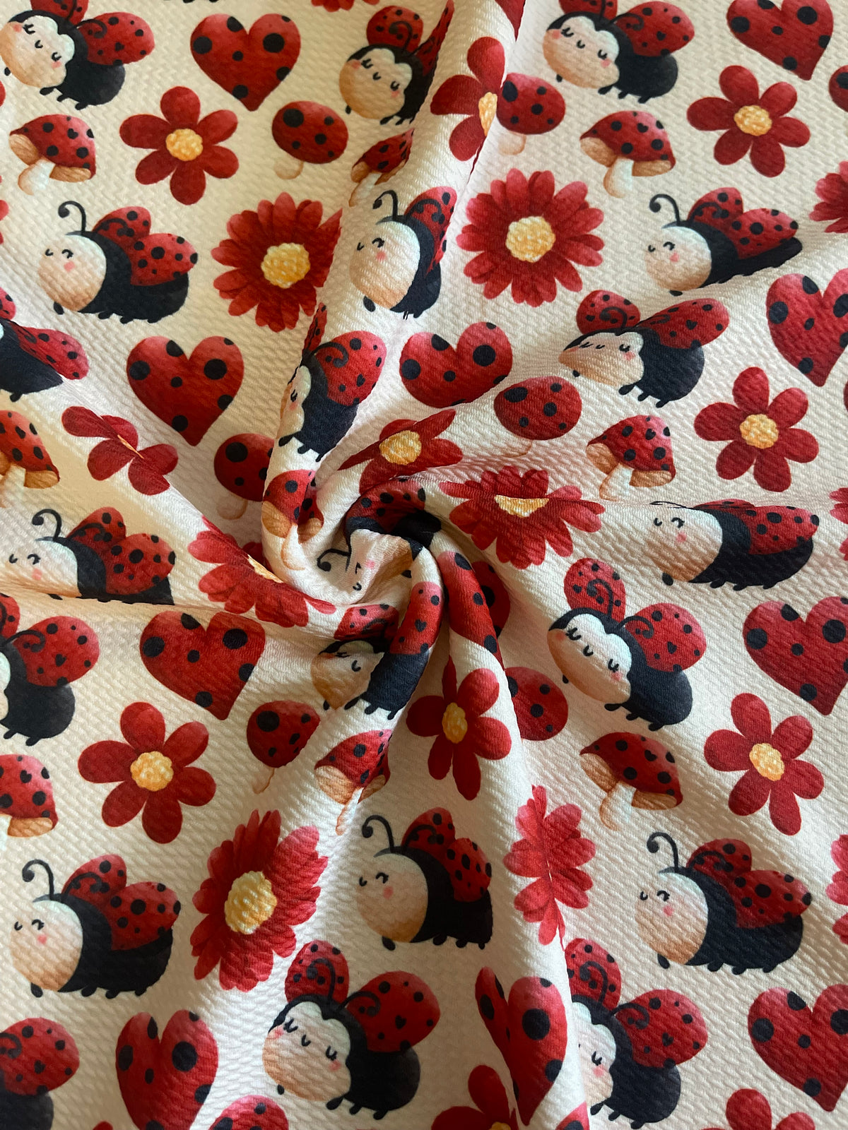 Ladybug