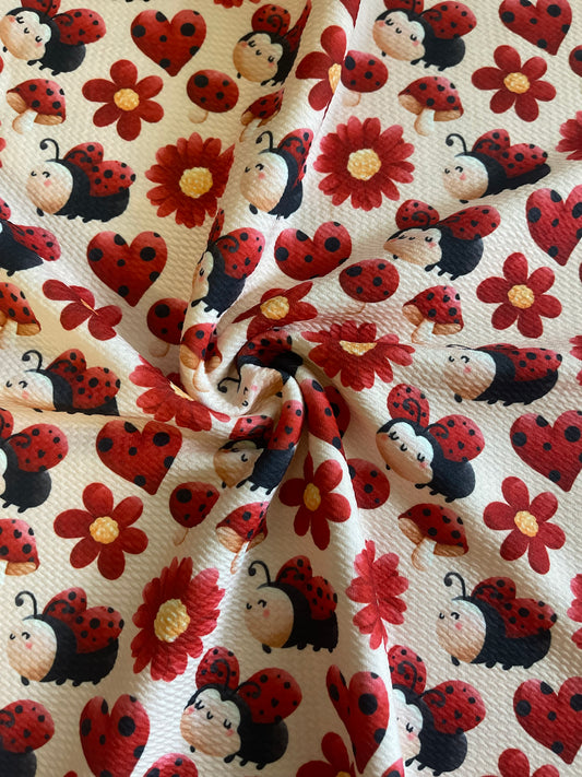 Ladybug